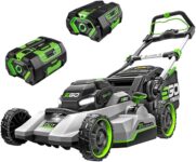 Top 10 Best Lawn Mowers 2025