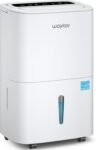 Top 10 Best Dehumidifiers 2025