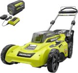 Top 10 Best Lawn Mowers 2025
