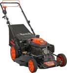 Top 10 Best Lawn Mowers 2025