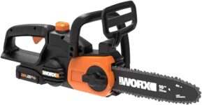 Top 10 Best Chainsaws 2025