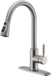 Top 10 Best Kitchen Faucets 2025