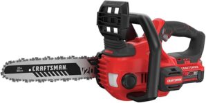 Top 10 Best Chainsaws 2025