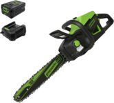 Top 10 Best Mini Chainsaws 2025