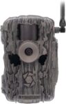 Top 10 Best Trail Cameras 2025