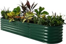 Top 10 Best Raised Garden Beds 2025