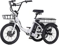 Top 10 Best Tricycles 2025