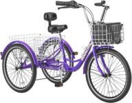 Top 10 Best Tricycles 2025