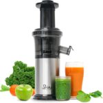 Top 10 Best Juicers 2025