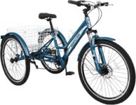 Top 10 Best Tricycles 2025