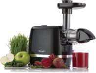 Top 10 Best Juicers 2025