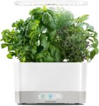 Top 10 Best Herb Gardens 2025