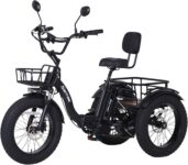 Top 10 Best Tricycles 2025