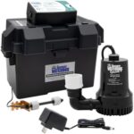 Top 10 Best Sump Pumps 2025
