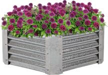 Top 10 Best Raised Garden Beds 2025