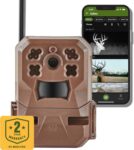 Top 10 Best Trail Cameras 2025