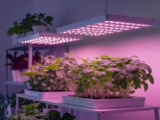 Top 10 Best Grow Lights 2025